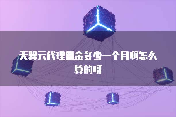 天翼云代理佣金多少一个月啊怎么算的呀