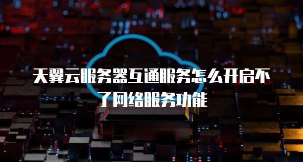 天翼云服务器互通服务怎么开启不了网络服务功能