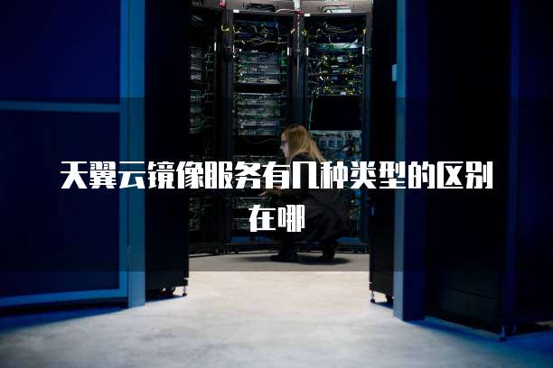 天翼云镜像服务有几种类型的区别在哪
