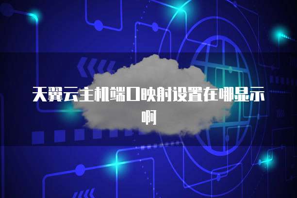 天翼云主机端口映射设置在哪显示啊