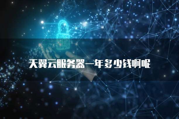 天翼云服务器一年多少钱啊呢