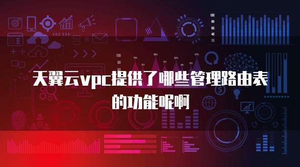 天翼云vpc提供了哪些管理路由表的功能呢啊