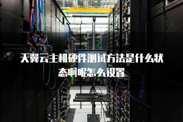 天翼云主机硬件测试方法是什么状态啊呢怎么设置