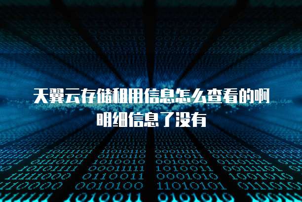 天翼云存储租用信息怎么查看的啊明细信息了没有