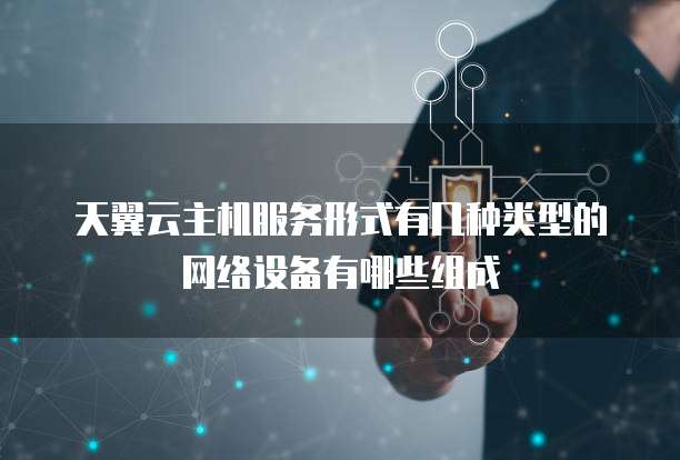 天翼云主机服务形式有几种类型的网络设备有哪些组成