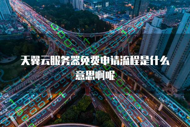 天翼云服务器免费申请流程是什么意思啊呢