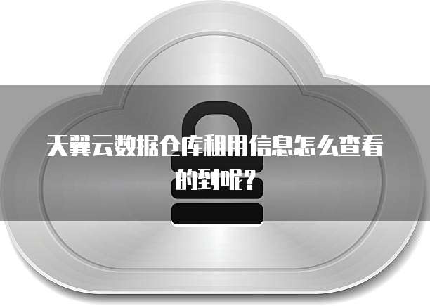 天翼云数据仓库租用信息怎么查看的到呢？