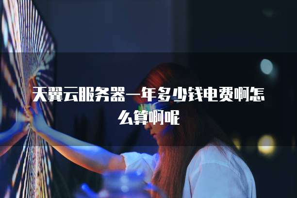 天翼云服务器一年多少钱电费啊怎么算啊呢