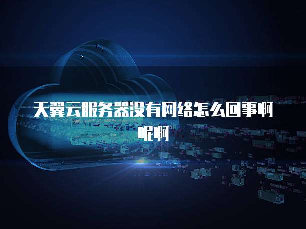 天翼云服务器没有网络怎么回事啊呢啊