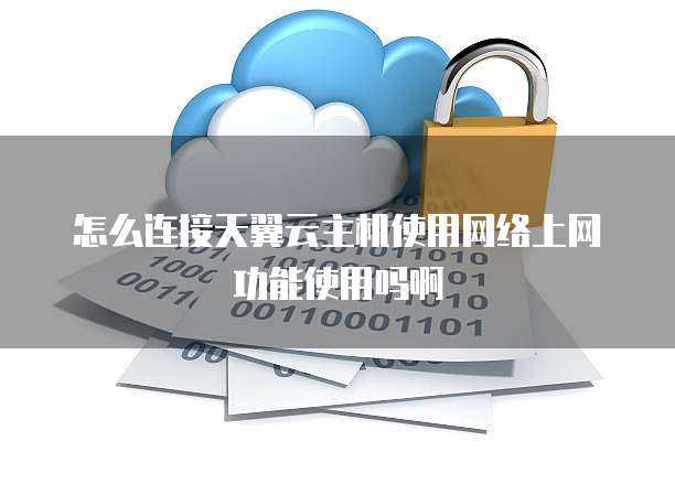 怎么连接天翼云主机使用网络上网功能使用吗啊