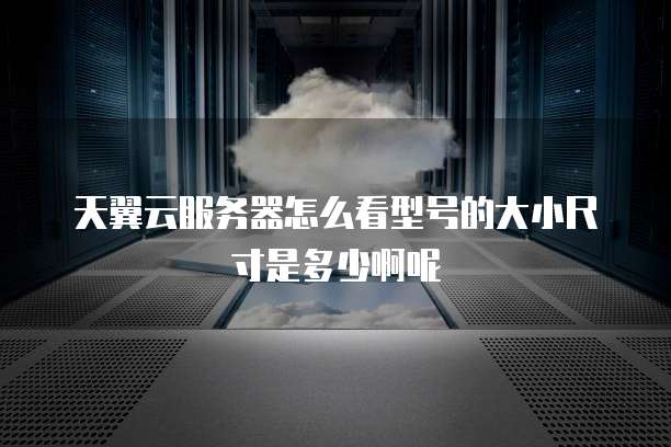 天翼云服务器怎么看型号的大小尺寸是多少啊呢
