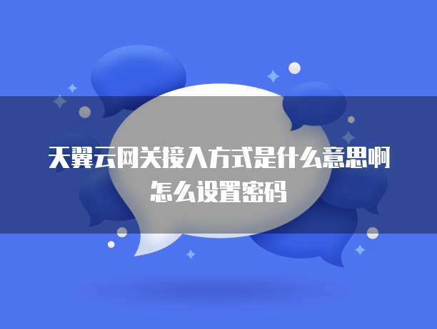 天翼云网关接入方式是什么意思啊怎么设置密码