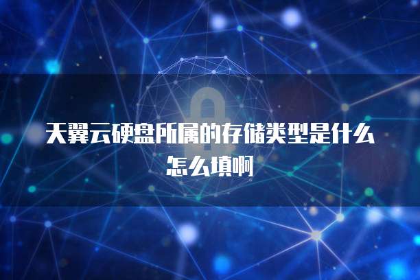 天翼云硬盘所属的存储类型是什么怎么填啊