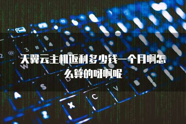 天翼云主机返利多少钱一个月啊怎么算的呀啊呢