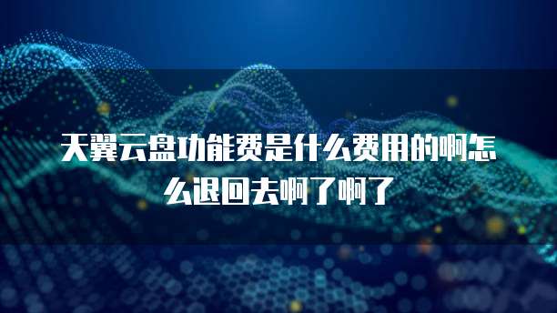 天翼云盘功能费是什么费用的啊怎么退回去啊了啊了