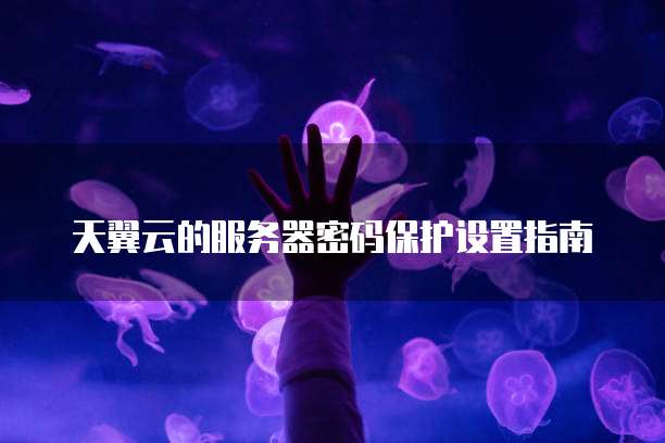 天翼云的服务器密码保护设置指南