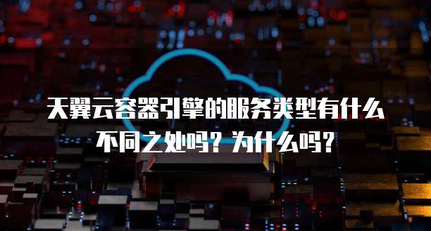 天翼云容器引擎的服务类型有什么不同之处吗?为什么吗?