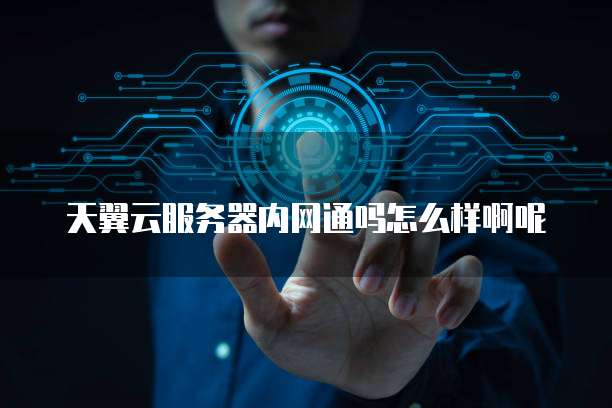 天翼云服务器内网通吗怎么样啊呢