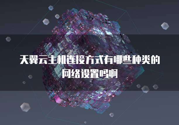 天翼云主机连接方式有哪些种类的网络设置吗啊