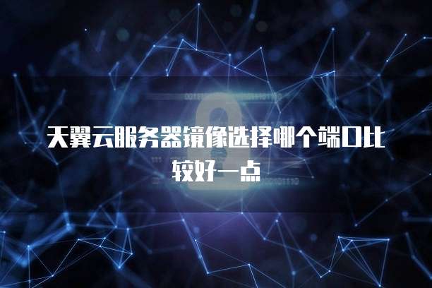 天翼云服务器镜像选择哪个端口比较好一点
