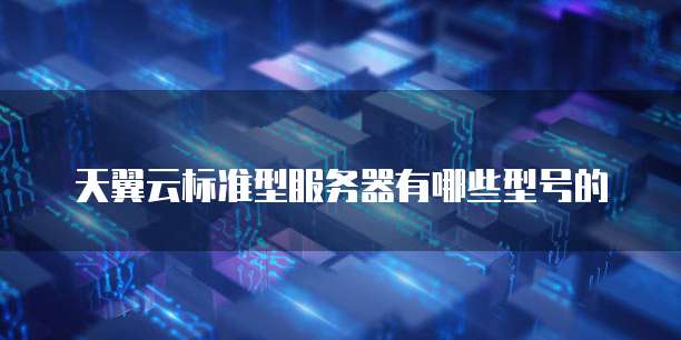 天翼云标准型服务器有哪些型号的