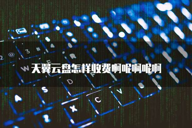 天翼云盘怎样收费啊呢啊呢啊