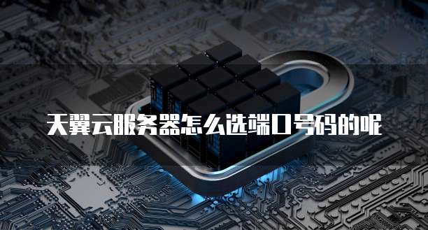 天翼云服务器怎么选端口号码的呢