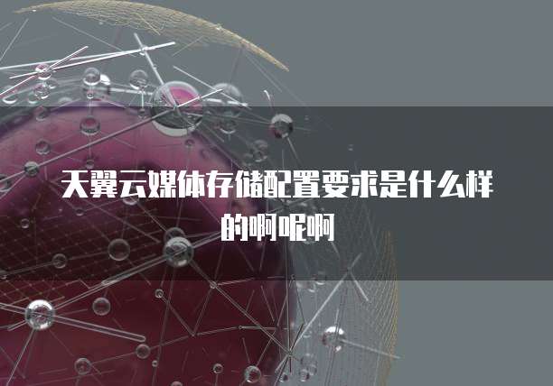 天翼云媒体存储配置要求是什么样的啊呢啊