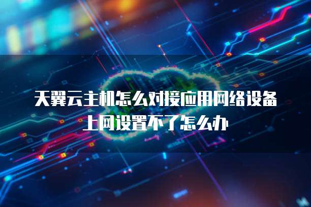 天翼云主机怎么对接应用网络设备上网设置不了怎么办