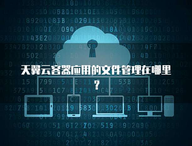 天翼云容器应用的文件管理在哪里?