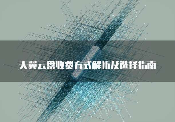 天翼云盘收费方式解析及选择指南