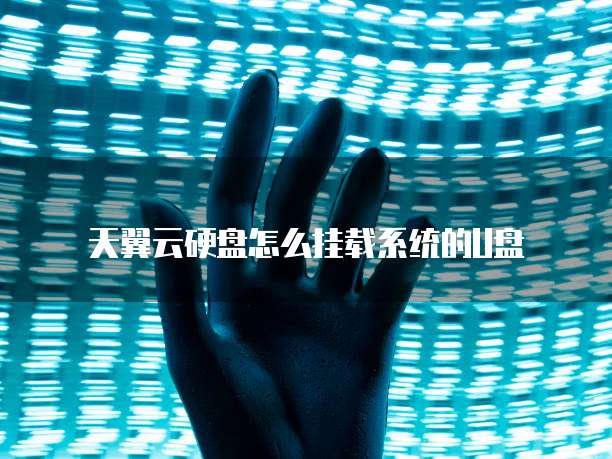 天翼云硬盘怎么挂载系统的U盘