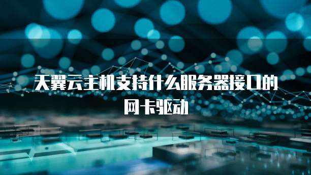 天翼云主机支持什么服务器接口的网卡驱动