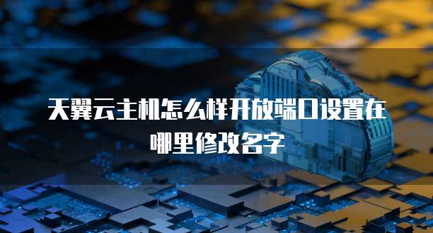 天翼云主机怎么样开放端口设置在哪里修改名字