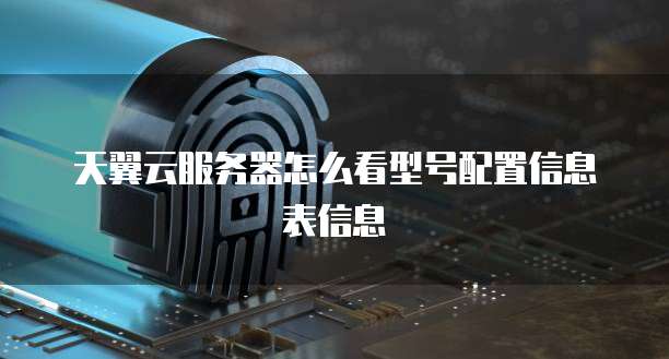 天翼云服务器怎么看型号配置信息表信息