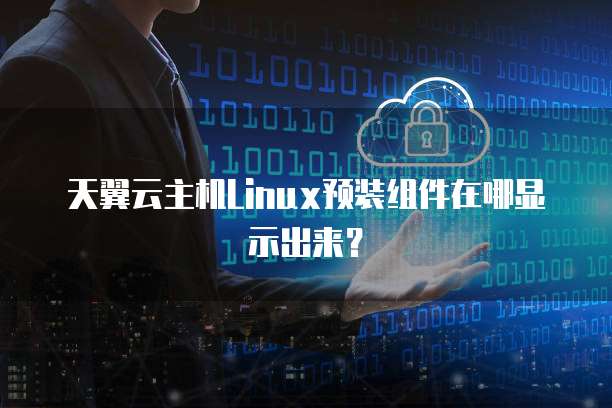 天翼云主机Linux预装组件在哪显示出来?