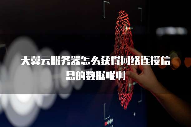 天翼云服务器怎么获得网络连接信息的数据呢啊