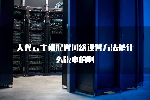 天翼云主机配置网络设置方法是什么版本的啊