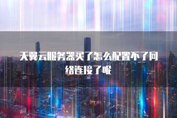 天翼云服务器买了怎么配置不了网络连接了呢