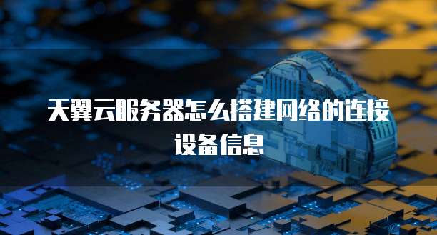 天翼云服务器怎么搭建网络的连接设备信息