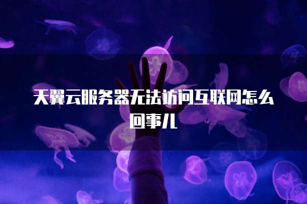 天翼云服务器无法访问互联网怎么回事儿