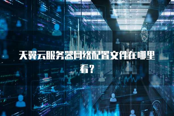 天翼云服务器网络配置文件在哪里看？