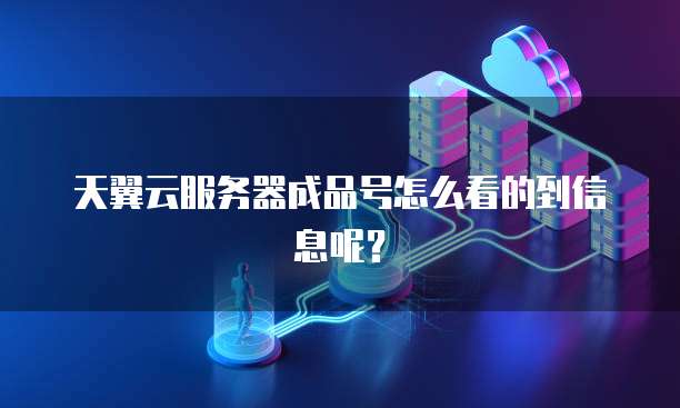 天翼云服务器成品号怎么看的到信息呢？