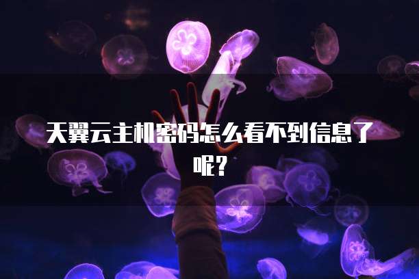 天翼云主机密码怎么看不到信息了呢？