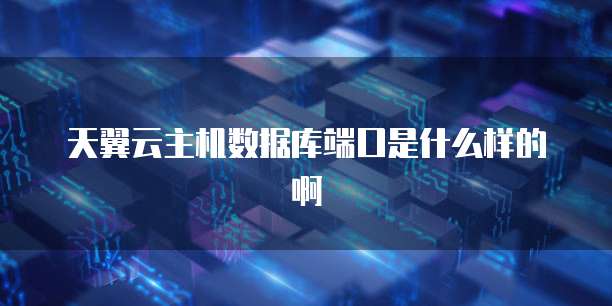 天翼云主机数据库端口是什么样的啊