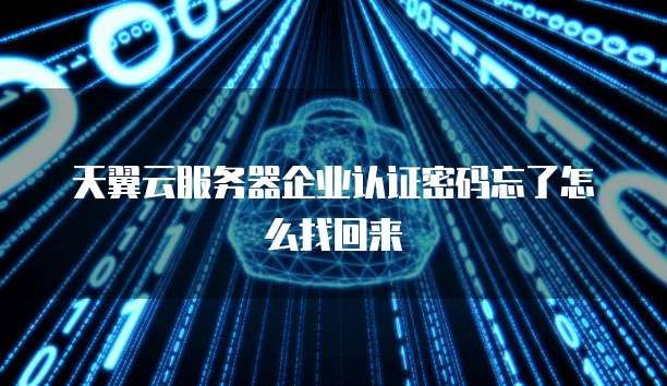 天翼云服务器企业认证密码忘了怎么找回来