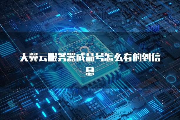 天翼云服务器成品号怎么看的到信息