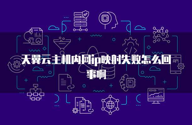 天翼云主机内网ip映射失败怎么回事啊
