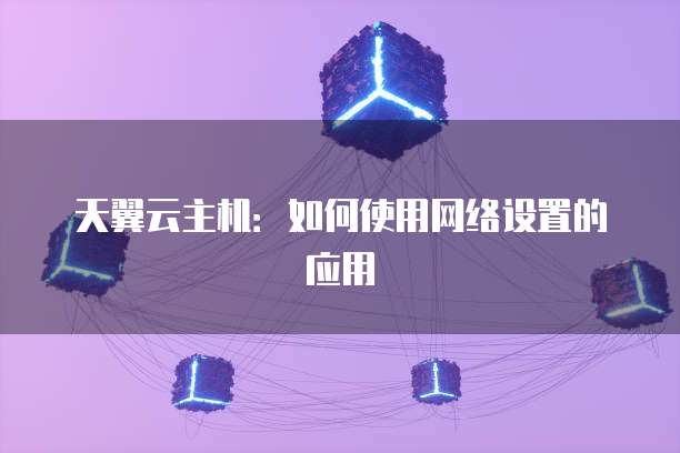 天翼云主机：如何使用网络设置的应用