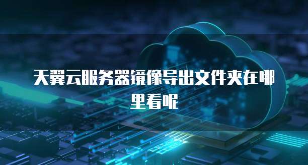 天翼云服务器镜像导出文件夹在哪里看呢